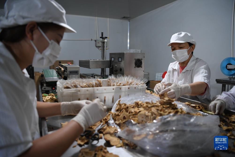 真钱炸金花软件